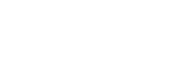 SafeGuard Ready